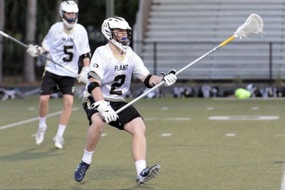 photograph credit to Jose Marnotes